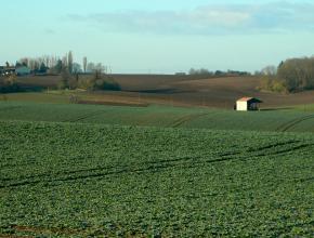 Agrandir l’image