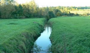 Le Clignon